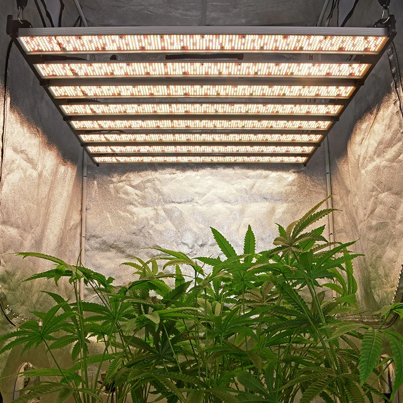 La luce senza fili professionale del DIY 1000W LED cresce per l'azienda agricola verticale della serra - TG1000 