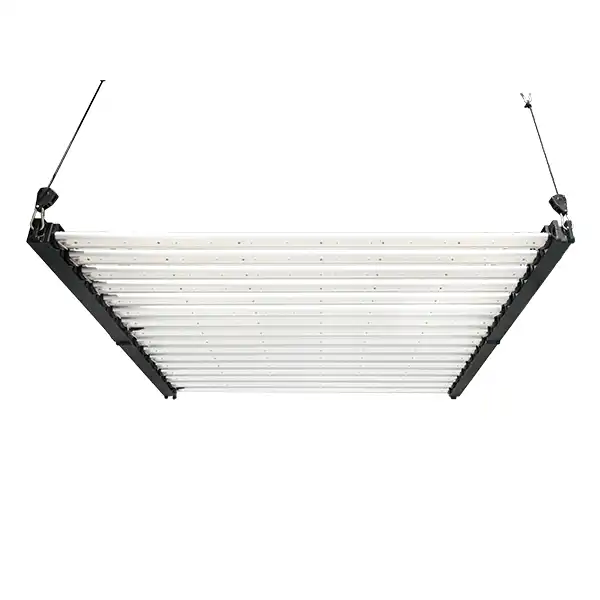 16 barre 1000W all'ingrosso dello spettro completo LED crescono la luce per la crescita dell'industria - LX-GLM120-16 