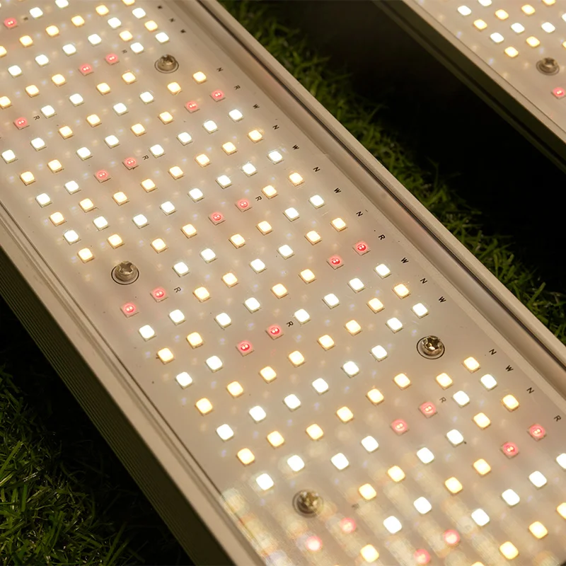 750W All'ingrosso Full Spectrum LED Grow Light - TG750 