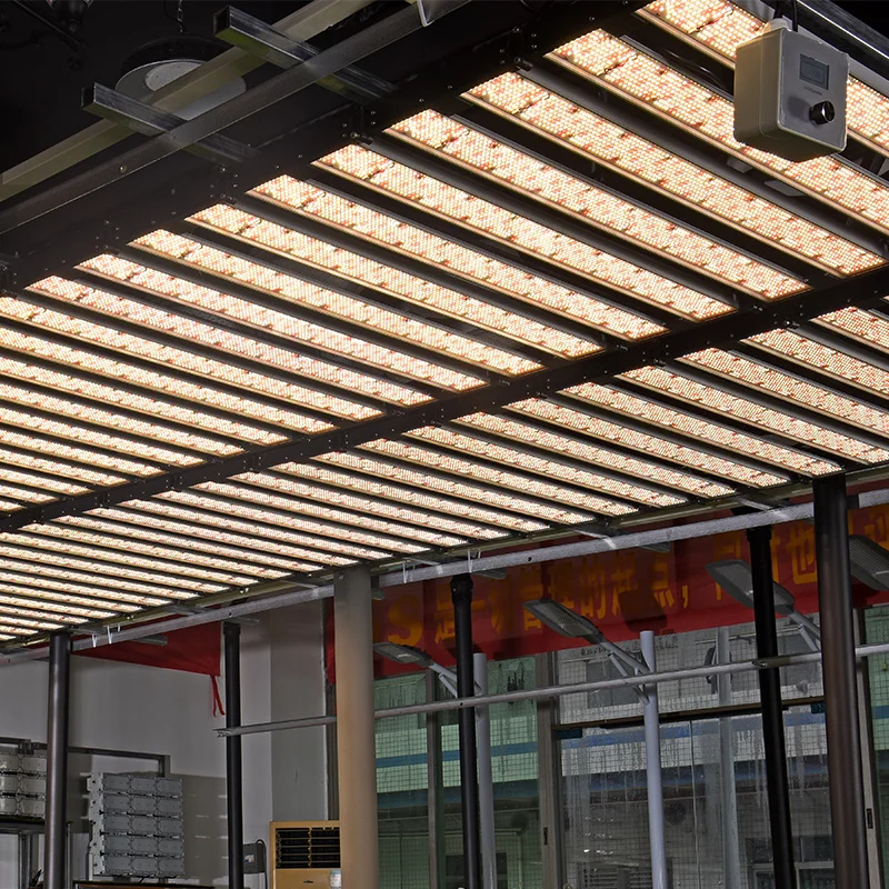 Luce di crescita all'ingrosso a spettro pieno LED 500W - TG500 