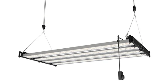 Luce di crescita 500W LED 