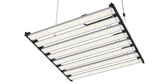 Luce di crescita 1000W LED 